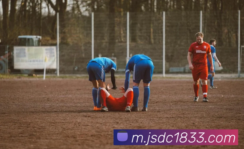 登录器 登录器